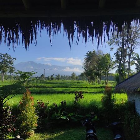 New Rinjani Homestay Tetebatu Εξωτερικό φωτογραφία