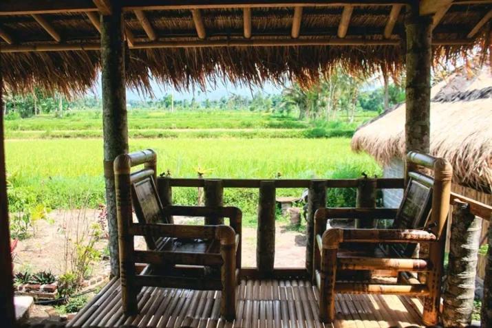 New Rinjani Homestay Tetebatu Εξωτερικό φωτογραφία