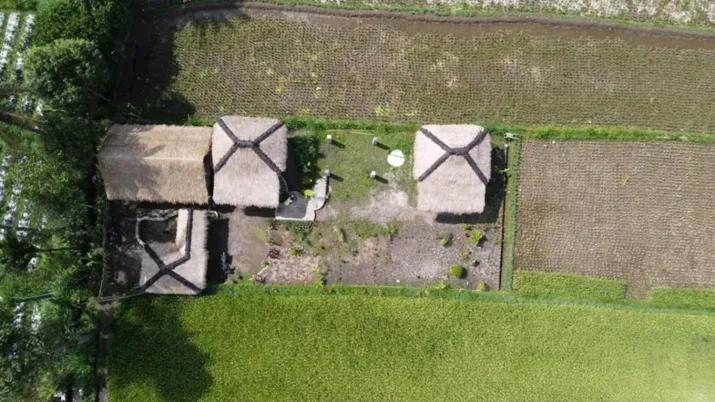 New Rinjani Homestay Tetebatu Εξωτερικό φωτογραφία