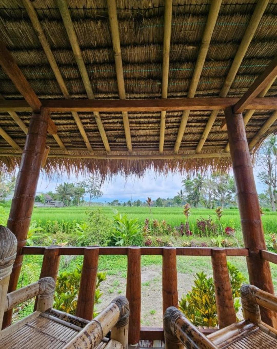 New Rinjani Homestay Tetebatu Εξωτερικό φωτογραφία