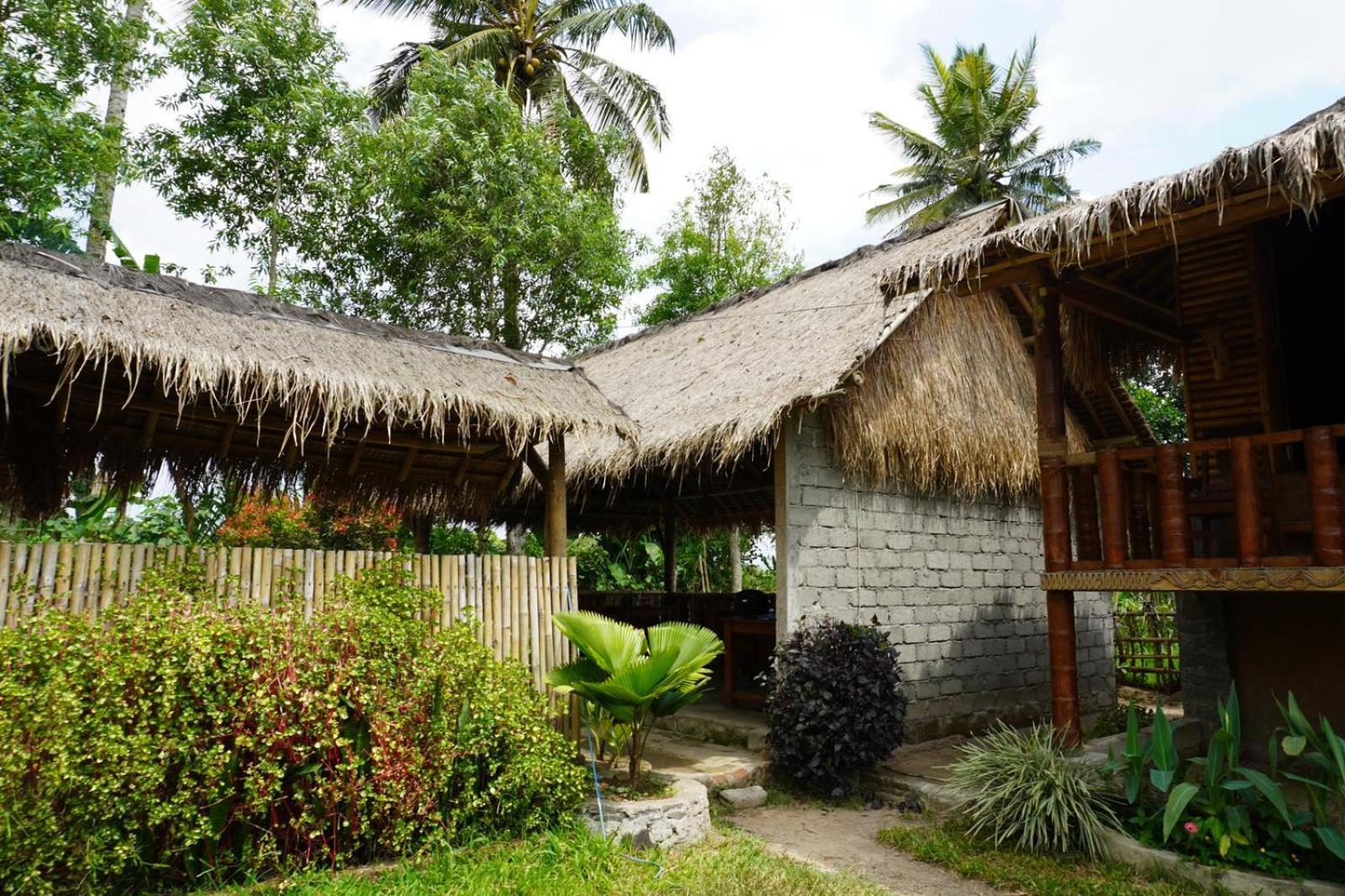 New Rinjani Homestay Tetebatu Εξωτερικό φωτογραφία