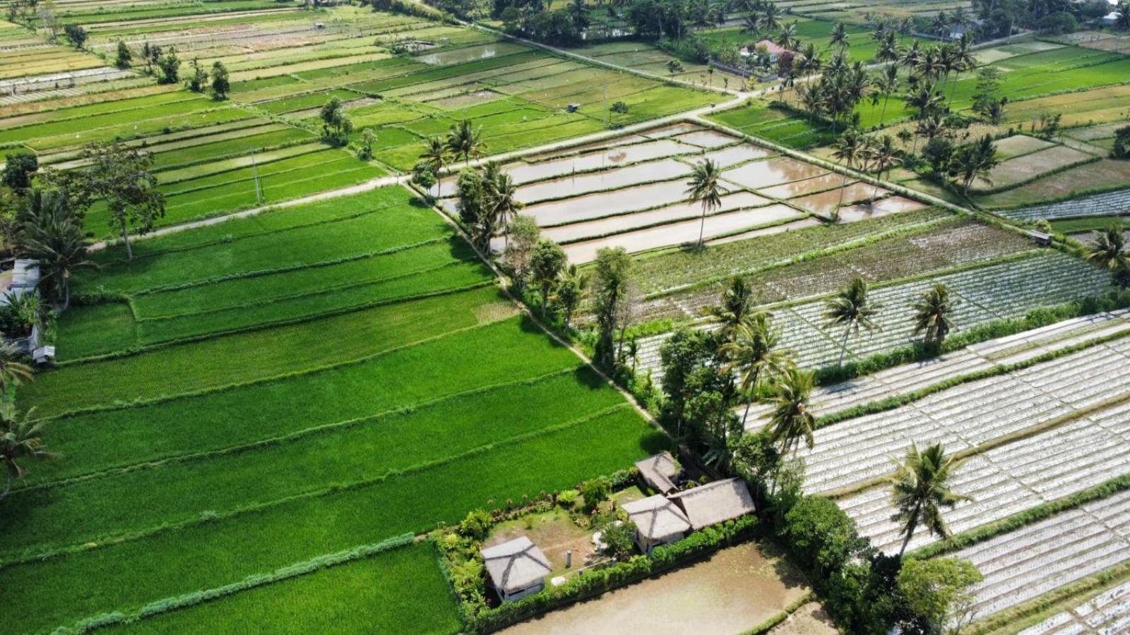 New Rinjani Homestay Tetebatu Δωμάτιο φωτογραφία