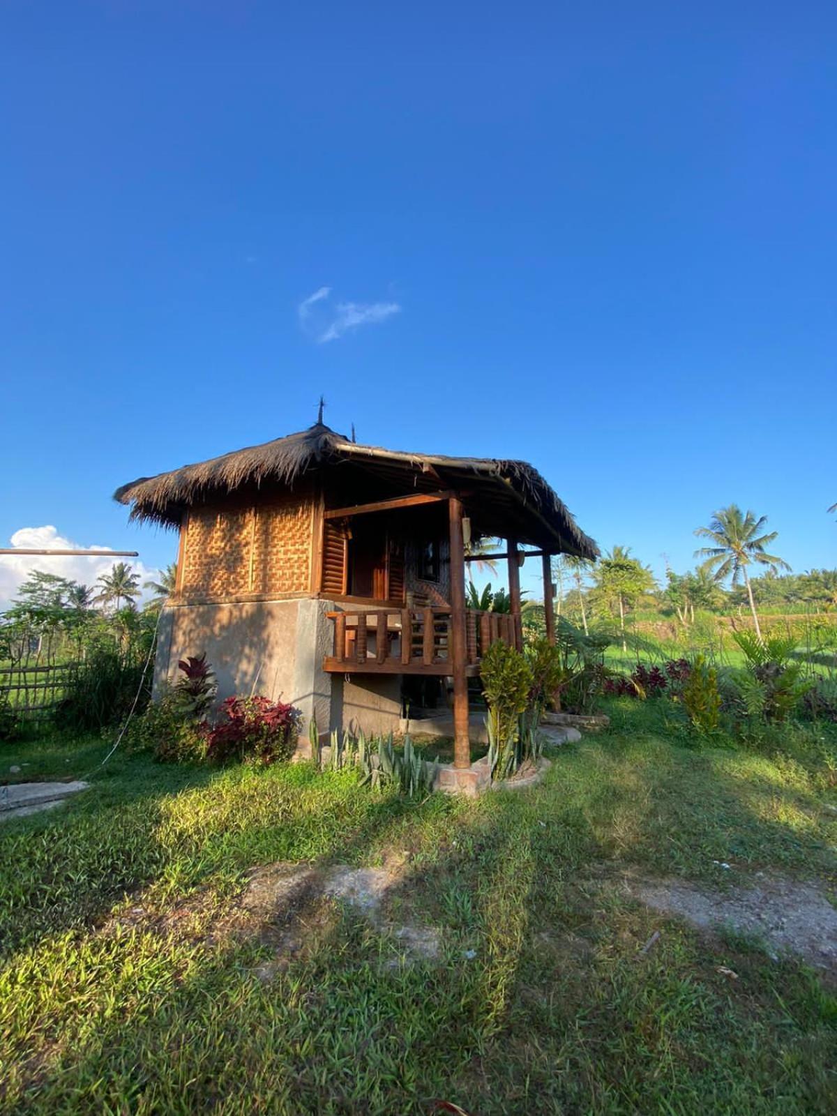 New Rinjani Homestay Tetebatu Εξωτερικό φωτογραφία