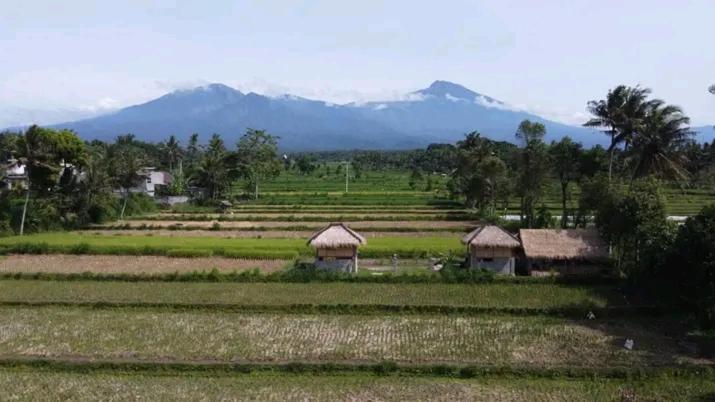 New Rinjani Homestay Tetebatu Εξωτερικό φωτογραφία