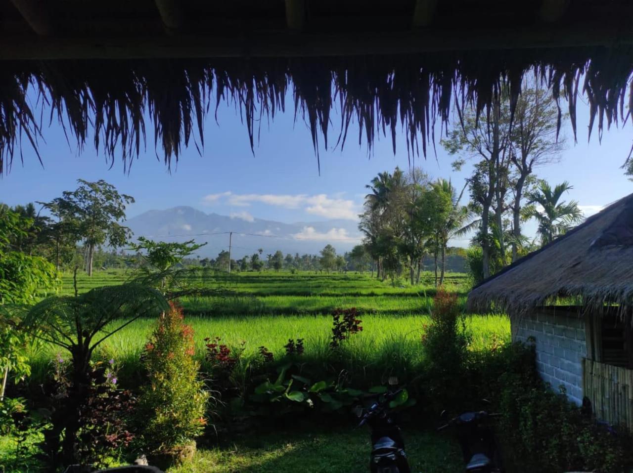 New Rinjani Homestay Tetebatu Εξωτερικό φωτογραφία