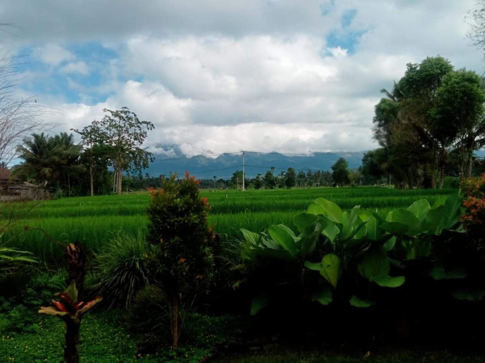 New Rinjani Homestay Tetebatu Δωμάτιο φωτογραφία