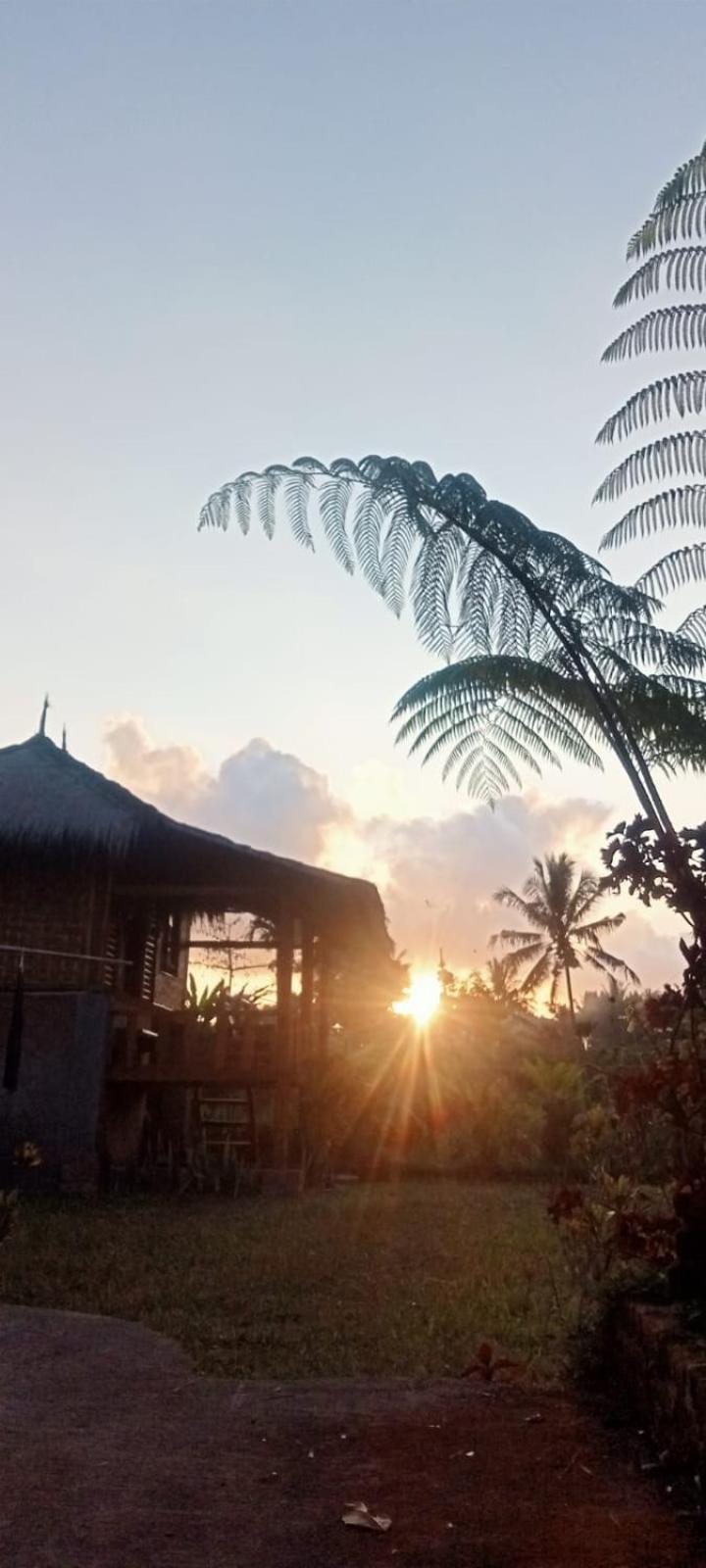 New Rinjani Homestay Tetebatu Δωμάτιο φωτογραφία