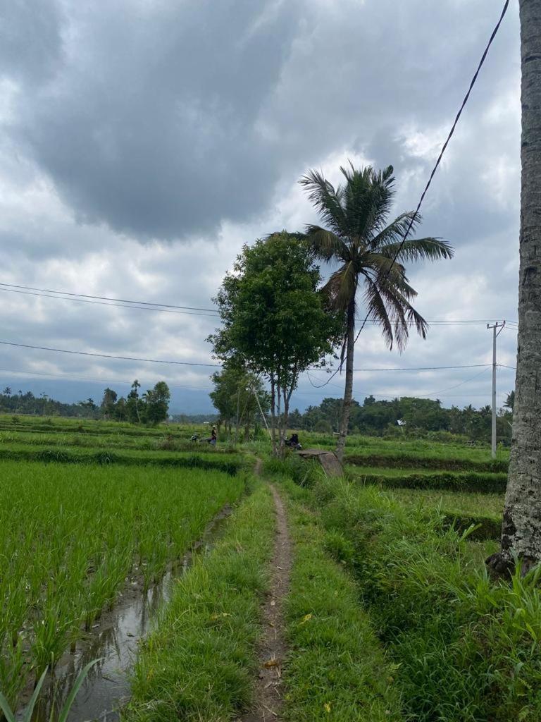 New Rinjani Homestay Tetebatu Δωμάτιο φωτογραφία