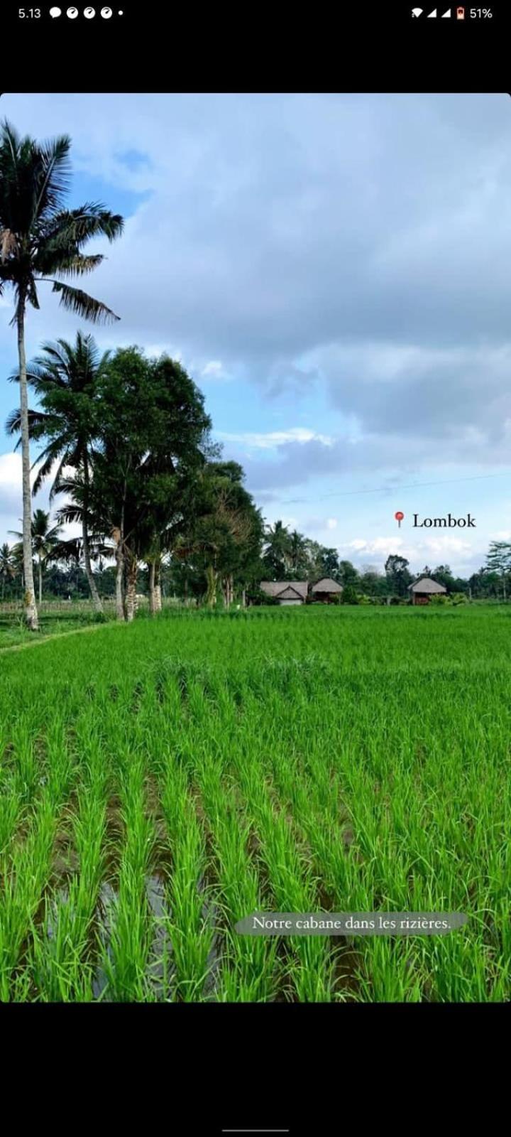 New Rinjani Homestay Tetebatu Δωμάτιο φωτογραφία