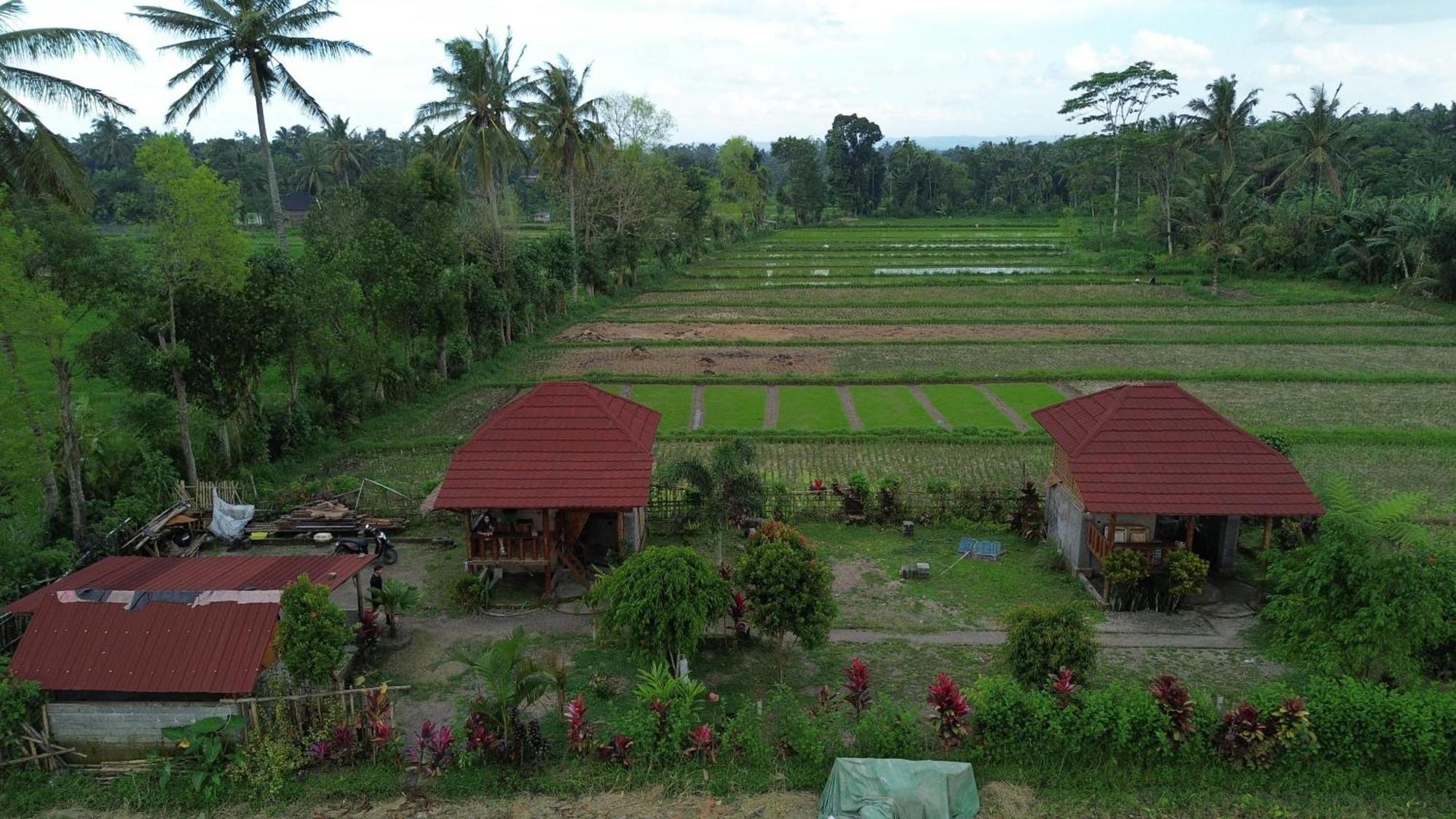 New Rinjani Homestay Tetebatu Εξωτερικό φωτογραφία