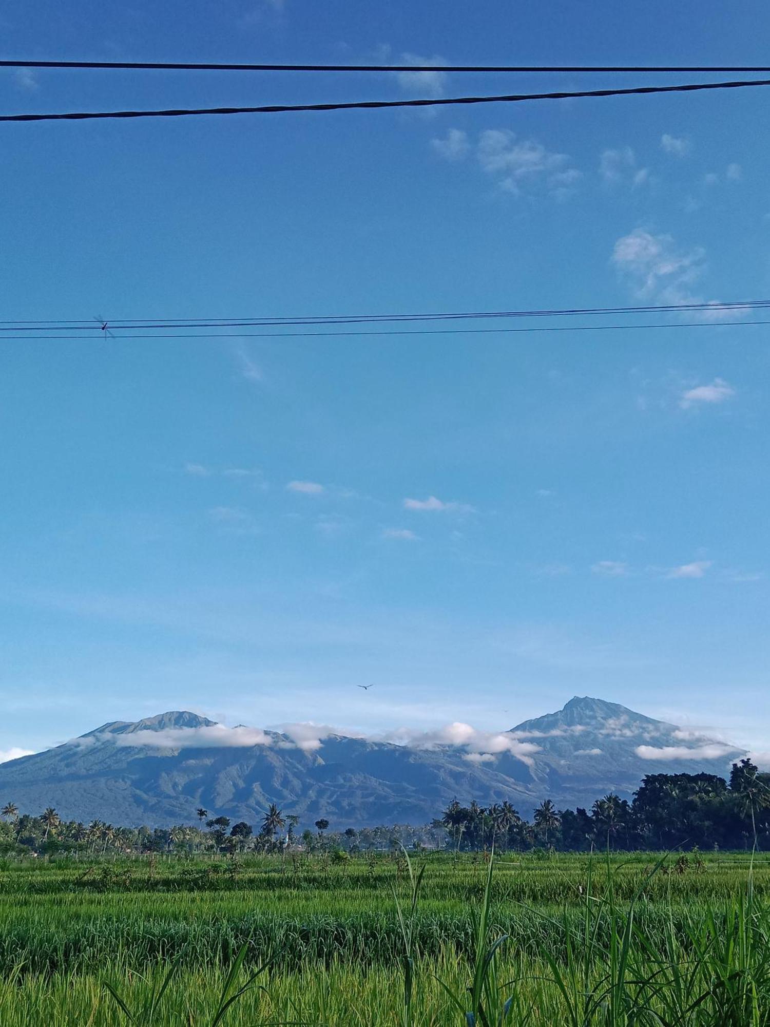 New Rinjani Homestay Tetebatu Εξωτερικό φωτογραφία