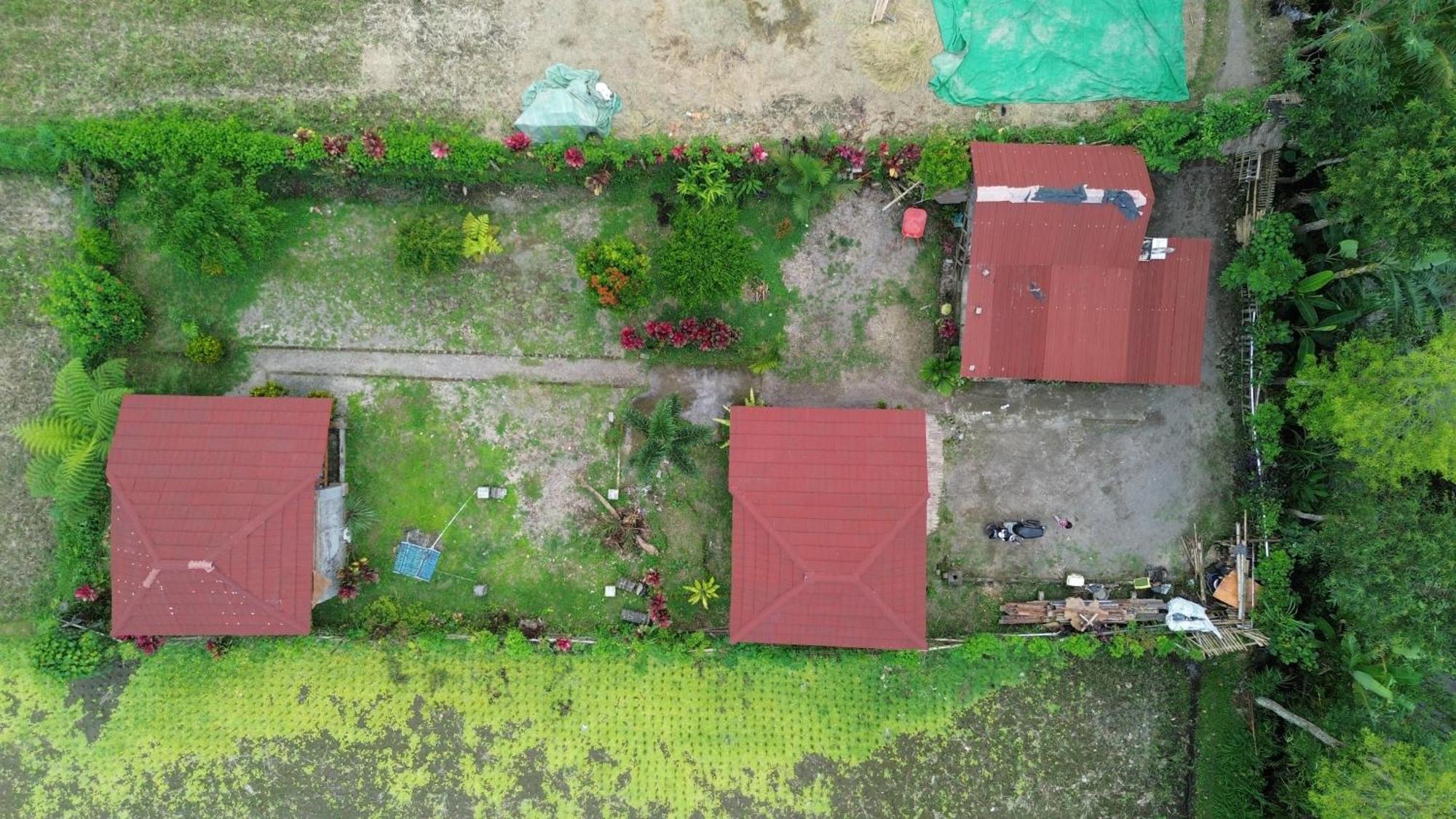 New Rinjani Homestay Tetebatu Εξωτερικό φωτογραφία